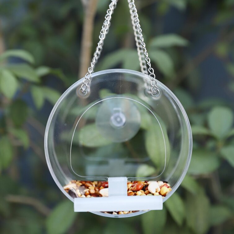window bird feeder with one way glass